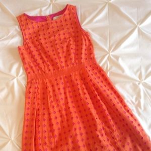 Ann Taylor LOFT dress